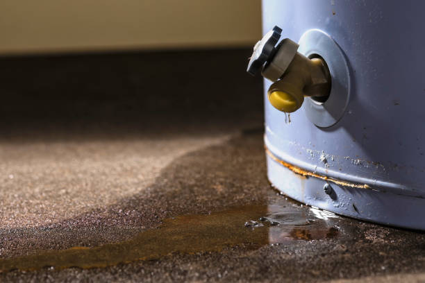 Best Flood damage cleanup  in Richfield Springs, NY