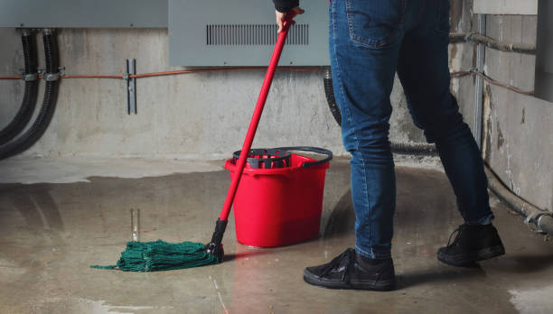 Best Flood damage cleanup  in Richfield Springs, NY