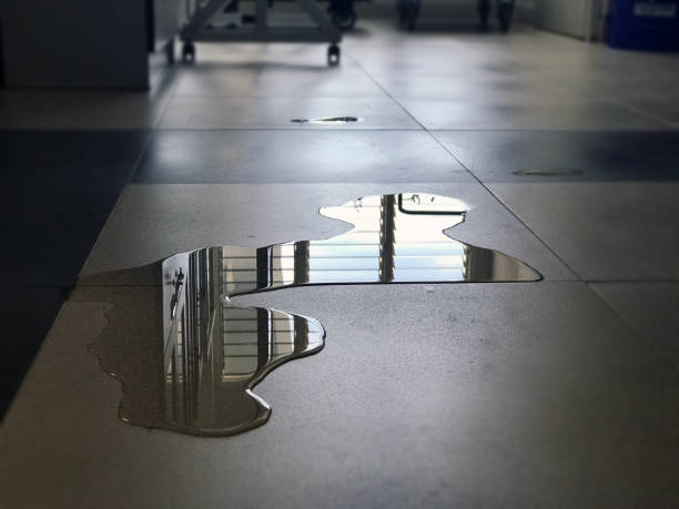 Best Water damage restoration process  in Richfield Springs, NY