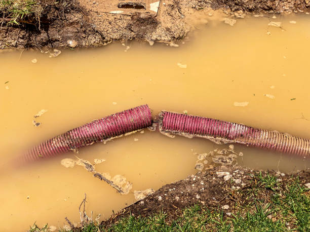Best Local water damage restoration  in Richfield Springs, NY