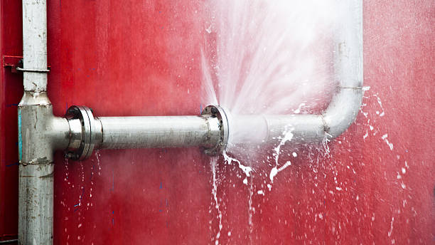 Best Professional water damage repair  in Richfield Springs, NY
