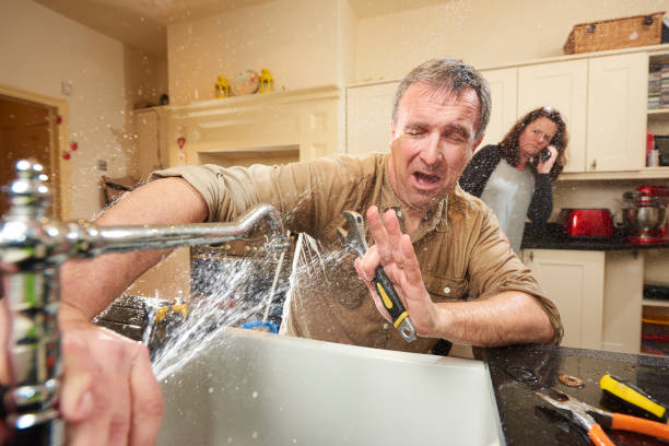 Best Mold removal after water damage  in Richfield Springs, NY
